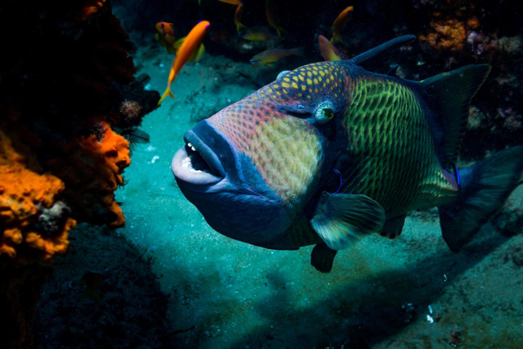 Sodwana Bay Lodge Dive & Fishing Resort エクステリア 写真