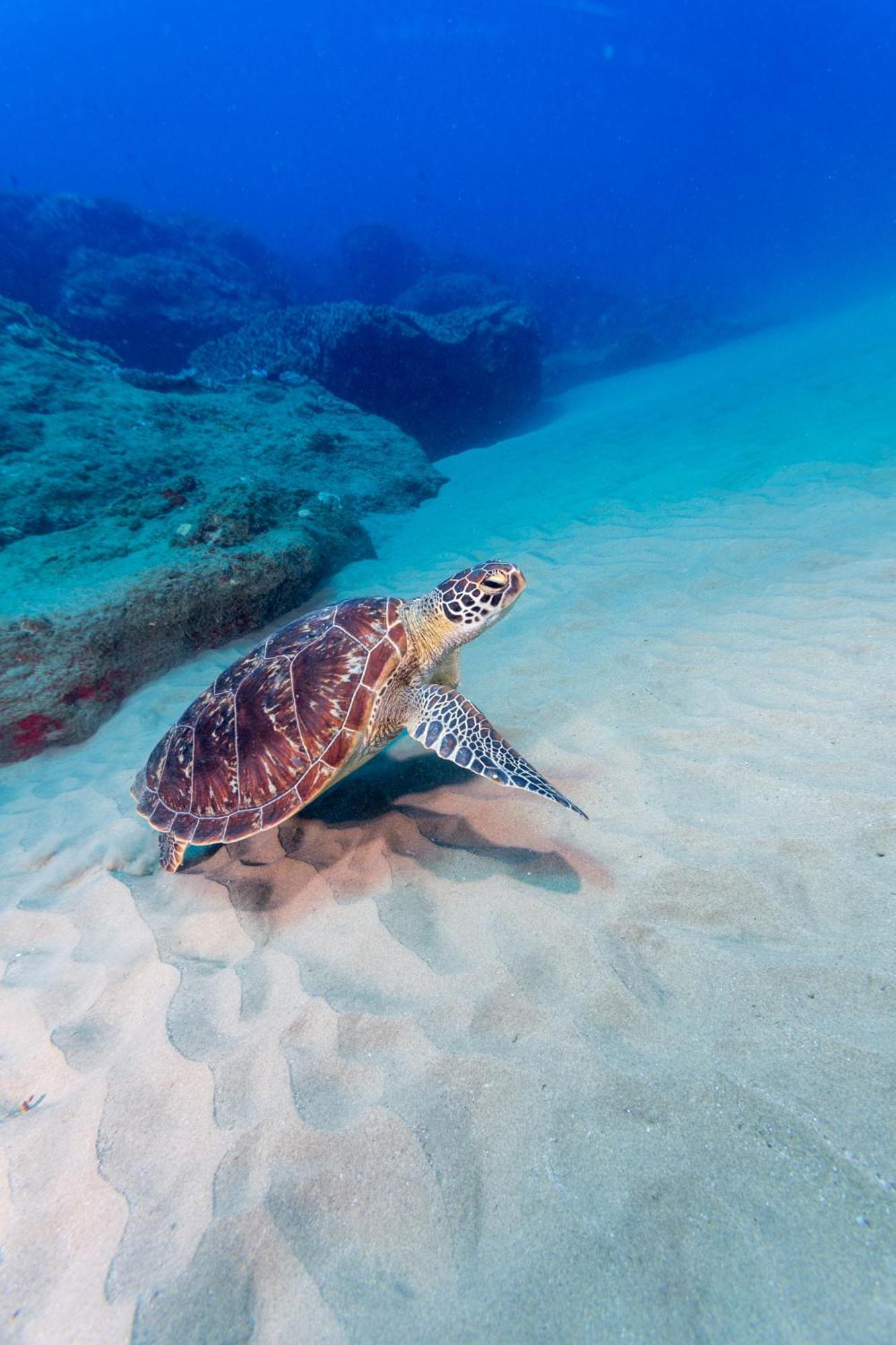 Sodwana Bay Lodge Dive & Fishing Resort エクステリア 写真