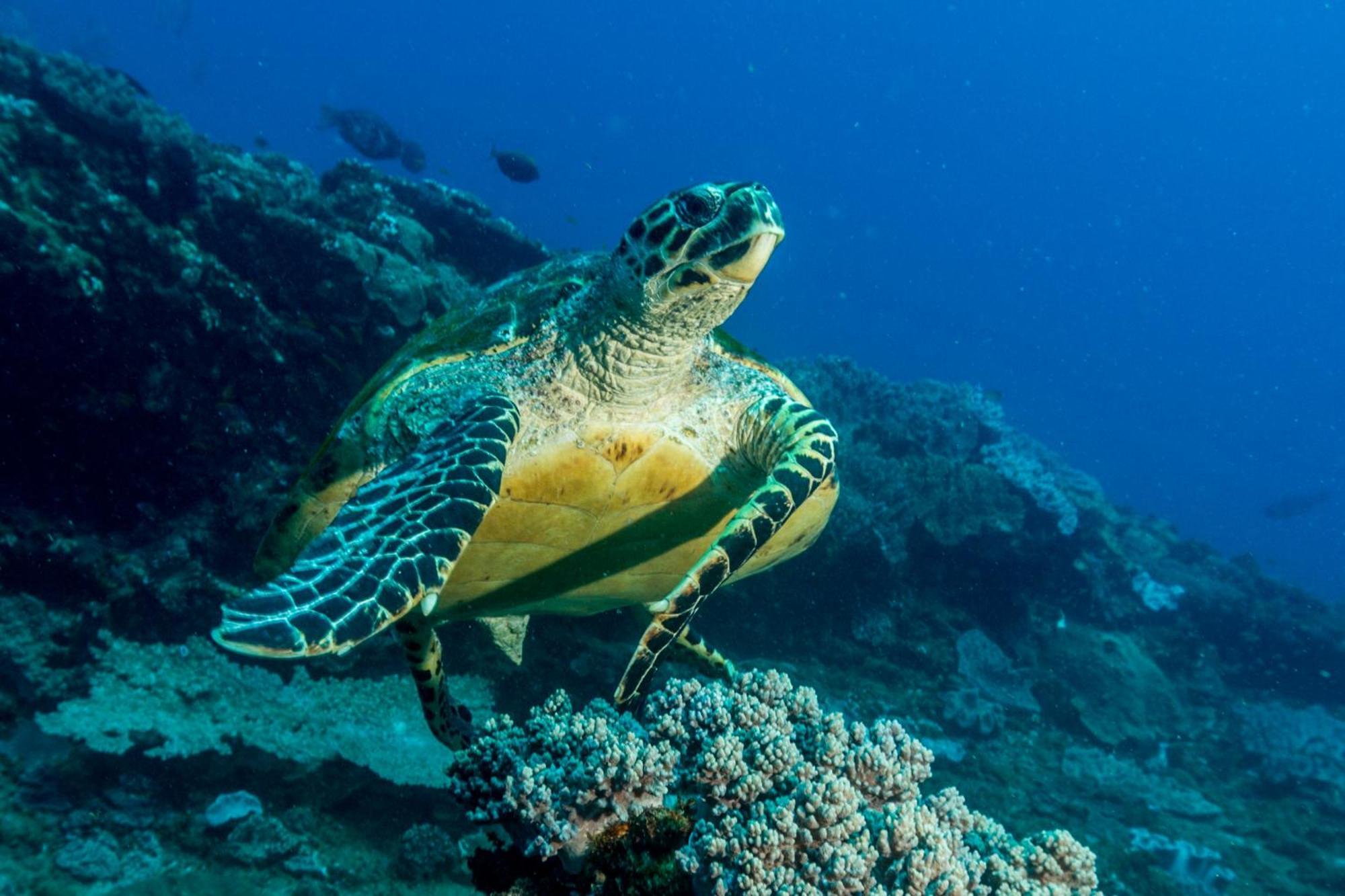 Sodwana Bay Lodge Dive & Fishing Resort エクステリア 写真