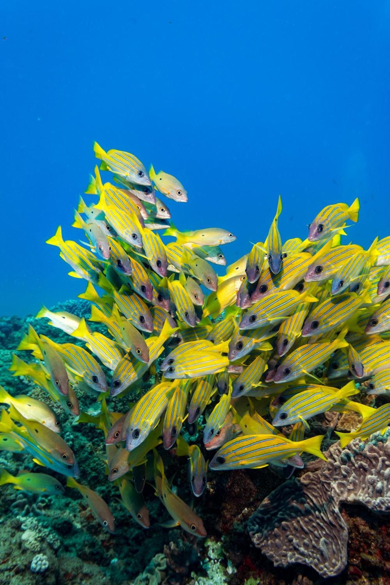 Sodwana Bay Lodge Dive & Fishing Resort エクステリア 写真