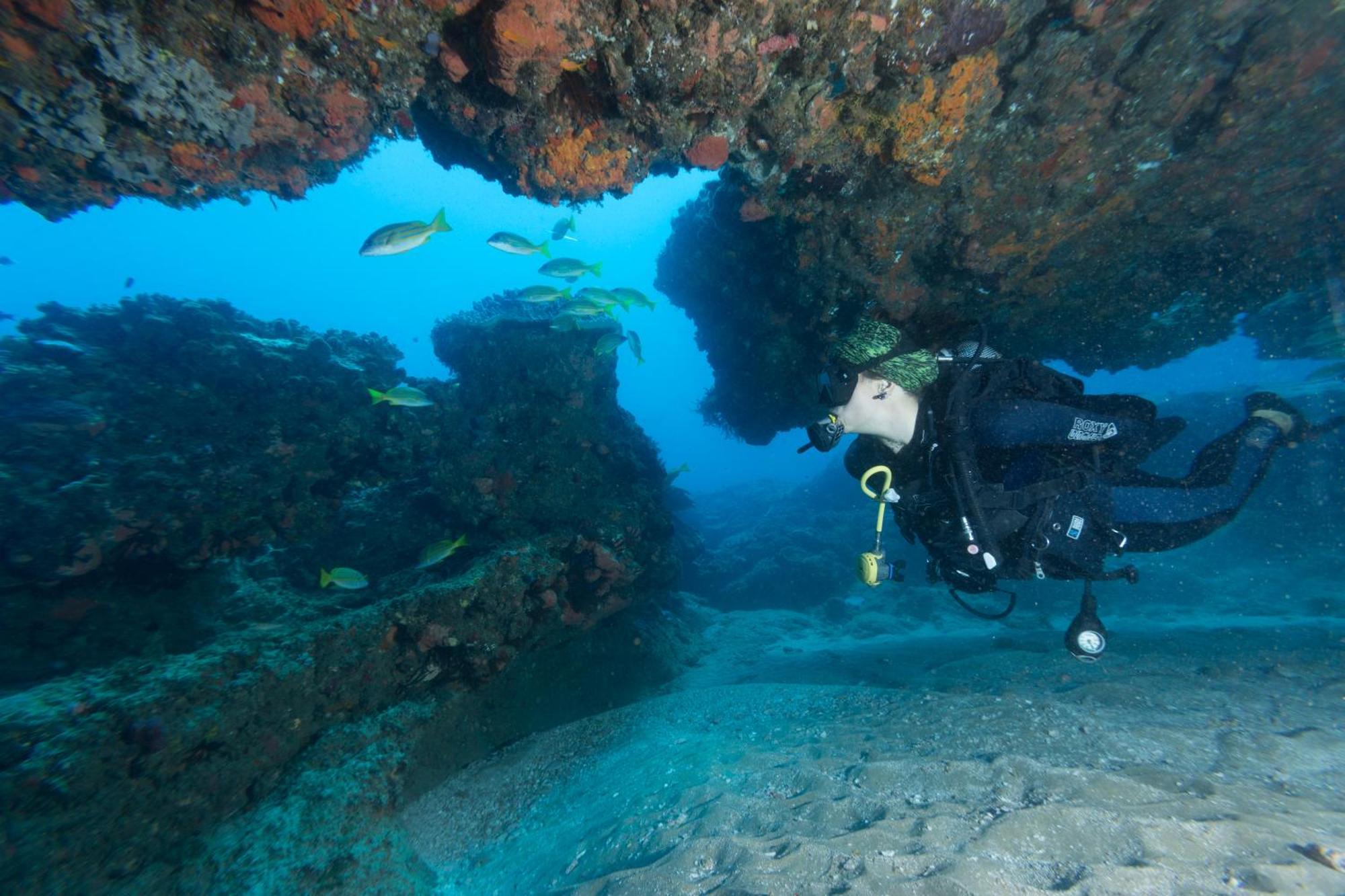 Sodwana Bay Lodge Dive & Fishing Resort エクステリア 写真