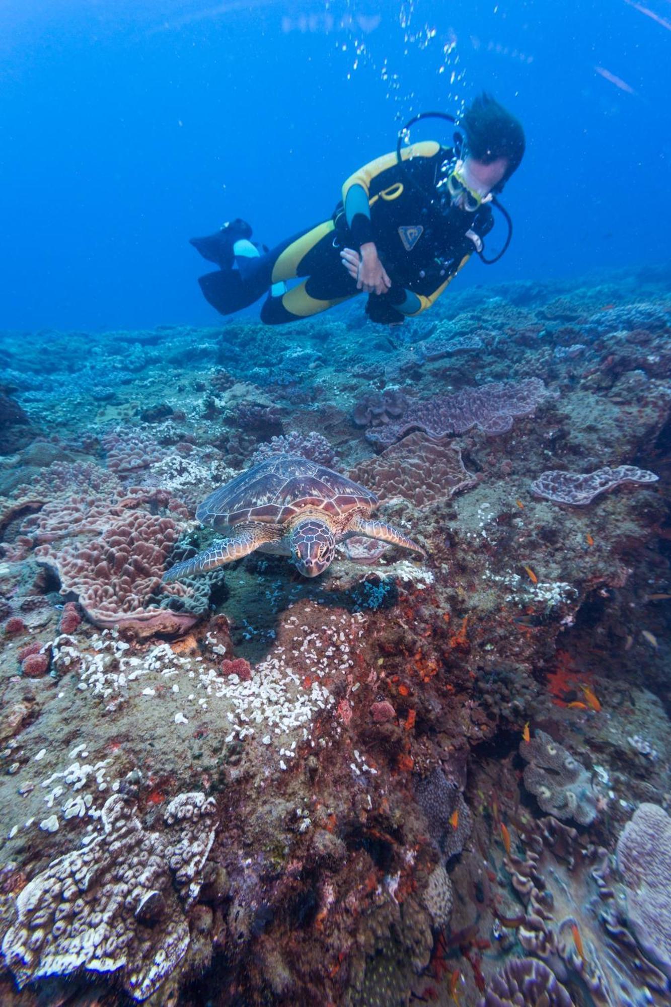 Sodwana Bay Lodge Dive & Fishing Resort エクステリア 写真